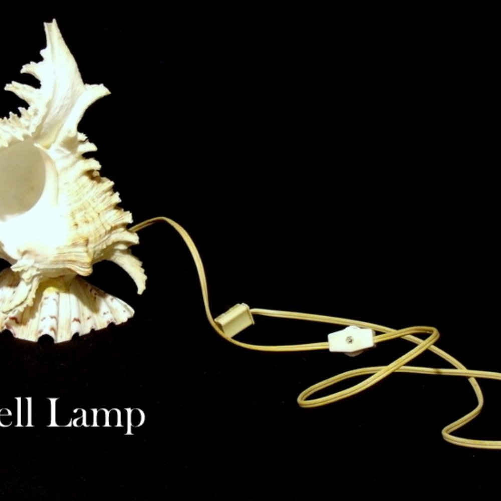 Vintage Sea Shell Table Lamp Night light Beach Art ~ Tropical Sea Shell Lamp